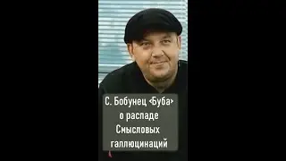 Сергей Бобунец о распаде группы Смысловые галлюцинации #shorts