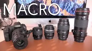 Fotografía Macro | Comparativa