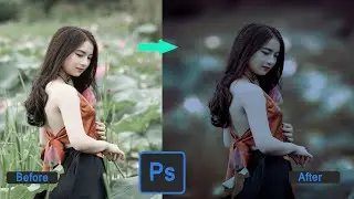 Photoshop Filter Night Effect in Photoshop || Day to Night Photo filtering