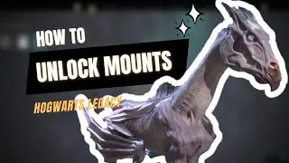 Hogwarts Legacy | How to Unlock MOUNTS