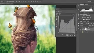 The Power of Curves | What you can do in Photoshop by only using curves