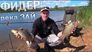 ВОТ ЭТО КАБАНЫ!!! Рыбалка на КРУПНОГО КАРАСЯ.  Река Зай.