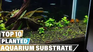 Best Substrate for Planted Aquarium in 2024 (Top 10 Picks)