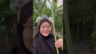 VIRAL DAUN PISANG GORENG ALA THAILAND