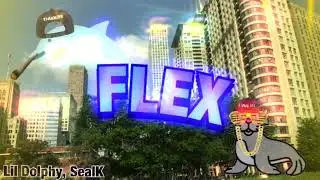 Lil’ Dolphy (Feat SealK) - FLEX