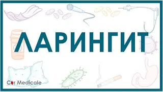 Ларингит - механизм развития, симптомы, диагностика, лечение