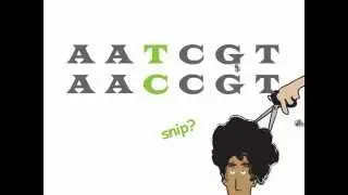 Genetics 101 (Part 2 of 5): What are SNPs?