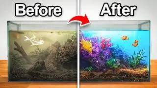 This Aquarium Was Abandoned, So I Transformed It