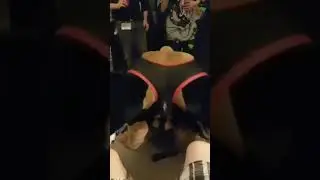 POV: Duke Doberman Gives You A Lap Dance (Fursuit Butts) 