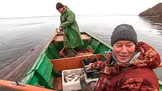 Рыбное дело. Часть 1 | С полем!