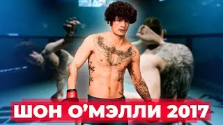 ЕА ДОБАВИЛИ АЛЬТЕР ЭГО ШОНА О’МЭЛЛИ в UFC 5 | ДИКИЕ НОКАУТЫ В НОВОМ РЕЖИМЕ