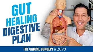 The Exact Gut Healing & Digestive Plan I Use with My Clients (+ 9 Questions) | Cabral Concept 2098