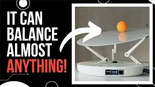 The CRAZIEST robot you've never heard of!