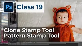 Clone Stamp and Pattern Stamp Tool | Photoshop | Class 19