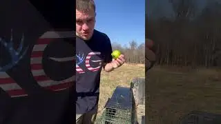 Ultimate Rabbit Trap? 