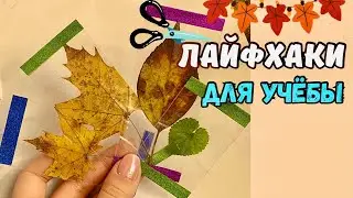 ЛАЙФХАКИ  для учебы🍂 DIY канцелярия | Алина Зосим