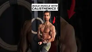 Can you Build Muscle With Home Workout ?