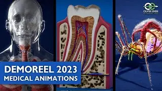 Demoreel medical animation Oliver Ende 2023