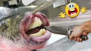 Best of FASTEST WORKERS 2019 | Super Skilled Workers #7