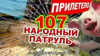 Народный Патруль 107 ПРИЛЕТЕЛО! (Нежданчик 3)