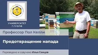 Предотвращение напада (Университет г.Гвелф, Канада)