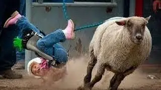 🐑  ,,ДЕТИ  на БАРАНАХ,, ГОНКИ 🐑