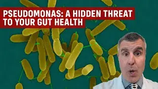 How Pseudomonas Can Impact Your IBS