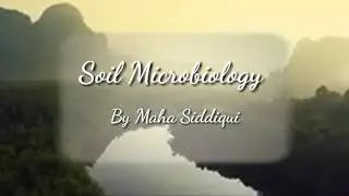 Soil Microbiology Research Topics/Articles | Part 3