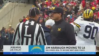 Michigans Jim Harbaugh named head coach of Los Angeles Chargers