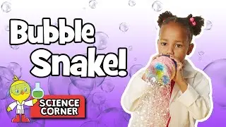 Chirp Science: Bubble Snake!