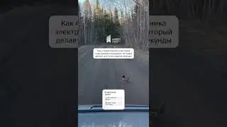 Стратегия победителей тендеров 😄🙈🤪 