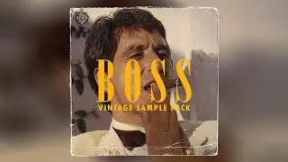 VINTAGE 90s SAMPLE PACK - BOSS | Soul, Blues, Gospel Samples For Hip-Hop