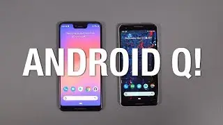 Android Q Beta First Look!