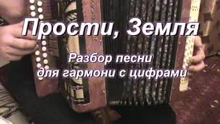 Прости, Земля (гармонь)