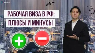 Рабочая виза в РФ: плюсы и минусы