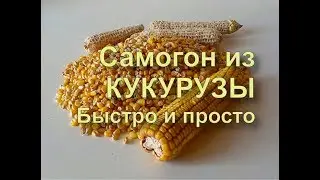 ✅ БУРБОН на кодзи. Быстро и просто. Ставим брагу. Часть 1