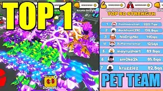 TOP 1 PLAYER'S TEAM OF PETS!! BEST PET TEAM in ARM WRESTLE SIMULATOR! (Roblox)