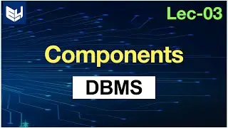 components of data base systems