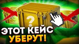 ЭТОТ КЕЙС КС2 УБЕРУТ УЖЕ СКОРО! В КАКОЙ КЕЙС ИНВЕСТИРОВАТЬ В CS2? ЗАРАБОТОК В КС2 2024