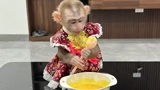 Mom cooked a new porridge dish that is very good for Tina's monkey's digestion