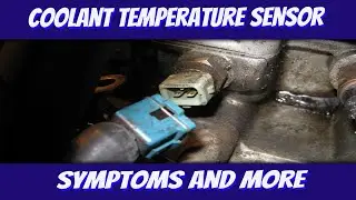 Engine Coolant Temperature Sensor (ECT Symptoms, How it Works, Replacement and More)