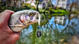 META Search Bait for Stocked Trout - PA 2023 Trout Opening Day - Yardley Delaware Canal State Park