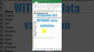 Drop-down list without data validation