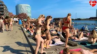 HOT DAY🔥Sandkaj Harbor Bath Beach | Copenhagen Denmark | Bikini Beach Walk | September 2024