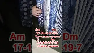 Как играть Тонкую рябину на гармони? #гармоньпесни #гармоньвидео #разборынагармони