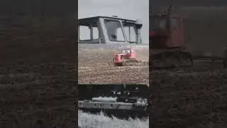 Самый популярный 