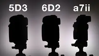 Camera Comparison: Whats the Best Full Frame Camera Under $2000? 5DIII vs. 6DII vs. a7II