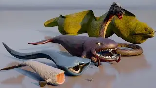 Top 120 Sea Monster 3D Size Comparison: Bloop vs El Gran Maja