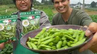 Edamame Farm | Japanese Superfood Snack Adventure ★ ONLY in JAPAN