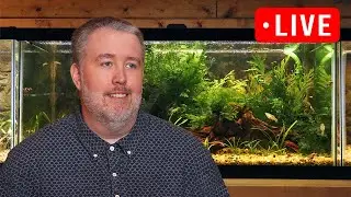 "Cycling" your aquariums with live aquarium plants - Episode 301